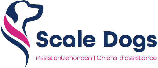 Scale Dogs